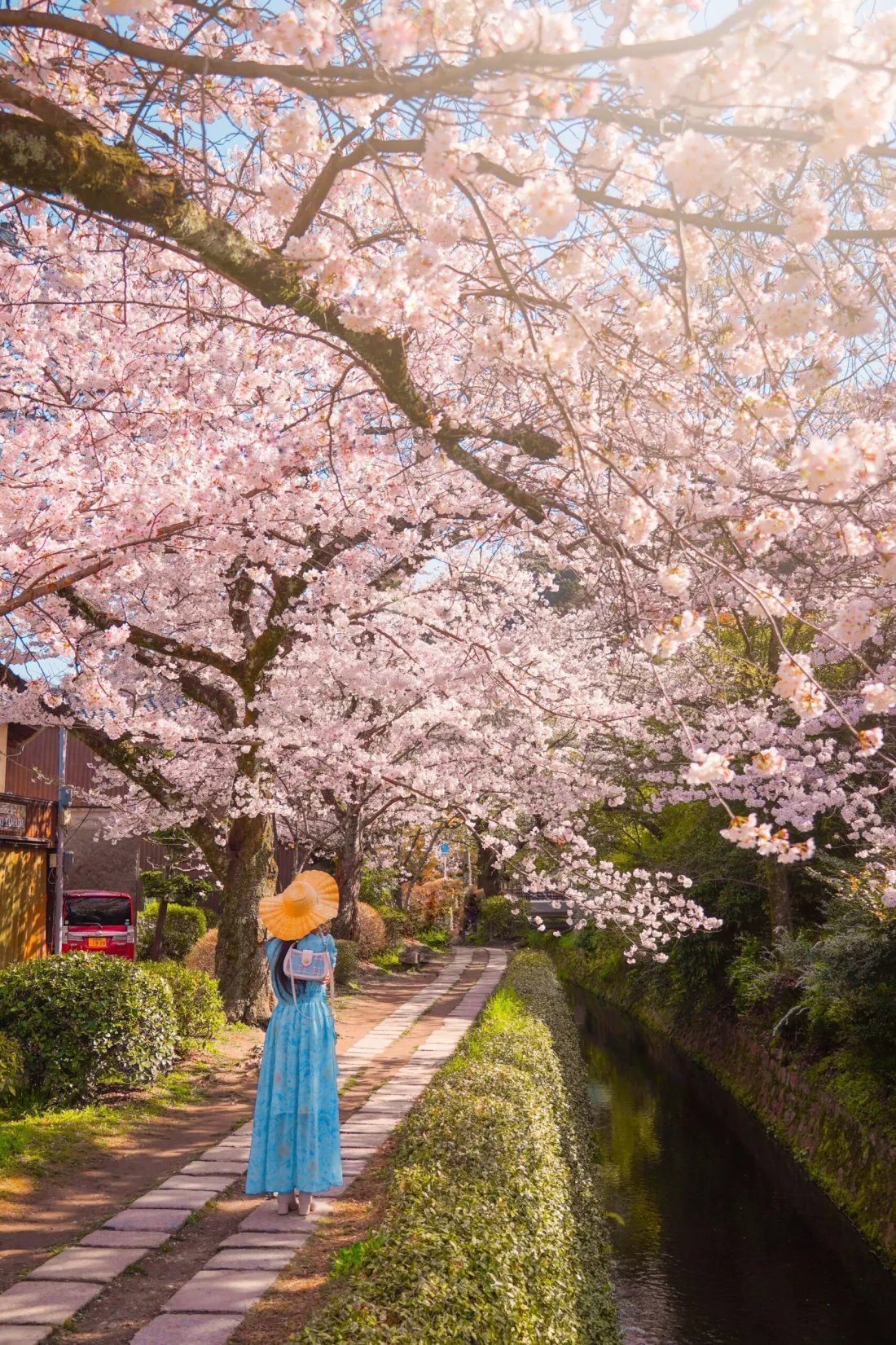 🏞️ 야쿠노 현무암 공원(야쿠노 겐부간 코엔) 이미지 8